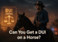 can you get a dui on a horse