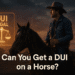 can you get a dui on a horse