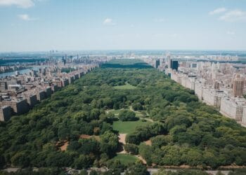 How Big Is Central Park
