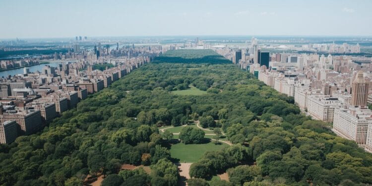 How Big Is Central Park
